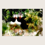 Artistic Puffin Poster posters
