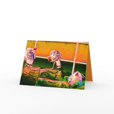 ARTISTIC TURKEYS Greeting Card by pentexslr
