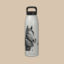 Artistic Wild Horse Foal water bottles