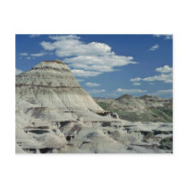 Artist'S Palette Post Card