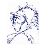 Artsy Horse Head Sketch Post Card
