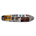 artwork2 skateboards