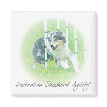 Artwork Australian Shepherd Agility Magnet