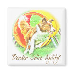 Artwork Border Collie Agility Magnet