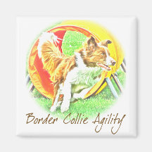 Artwork Border Collie Agility Magnet