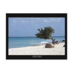 ARUBA fofoti tree Postcard