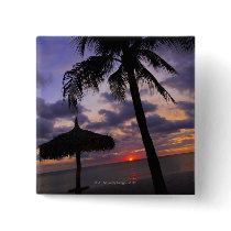 Aruba, silhouette of palm tree and palapa on pins