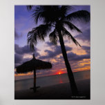 Aruba, silhouette of palm tree and palapa on posters