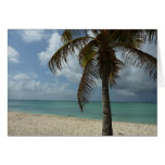 Aruban Beach Card