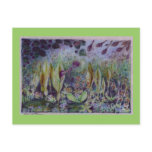 arum elve postcards