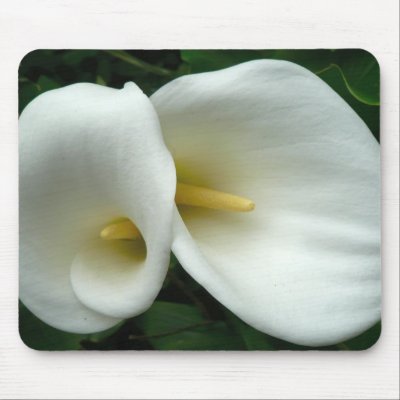 arum lilies mousemats by floral_designs