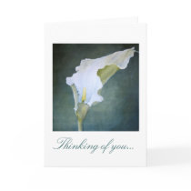 Arum Lily Card - Customise your own greeting