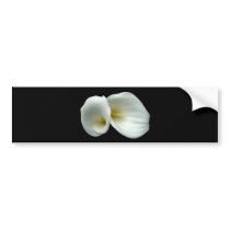 Arum White Lilies Bumper Sticker