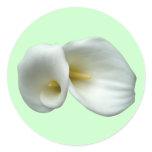 Arum White Lilies stickers