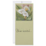 ARUMS Convite / Invitation