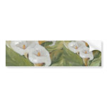 ARUMS ETIQUETA / STICKER BUMPER STICKERS