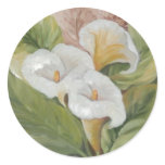 ARUMS Etiqueta / Stickers