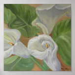 arums I-poster posters