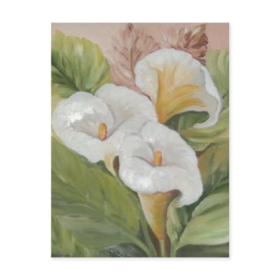 ARUMS POSTCARD / POSTAL by isabelalfarrobinha