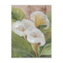 ARUMS POSTCARD / POSTAL