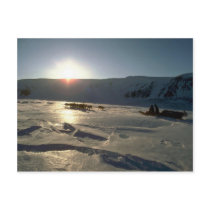 Ascending glacier, Ellesmere Island, N.W.T. Postcards