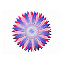 Ascension Flower Postcard