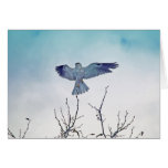 Ascent Greeting Cards