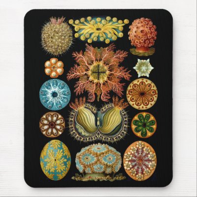 Ascidiacea Mouse Mats by vintage_emporium