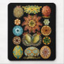 Ascidiacea Mouse Mats