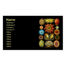 Ascidiacea (Sea Squirts), Ernst Haeckel Business Cards