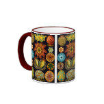 Ascidiacea (Sea Squirts), Ernst Haeckel mugs