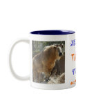 asdf mugs