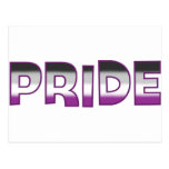 Asexual Pride Post Card