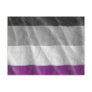 ASEXUAL PRIDE