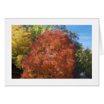 Ash tree in autumn greeting card