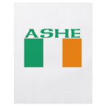 Ashe Full Color Flyer