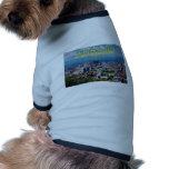ASHEVILLE, NORTH CAROLINA PET CLOTHES