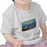 ASHEVILLE, NORTH CAROLINA T SHIRT