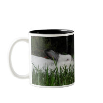 Ashton Mug