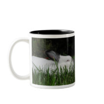 Ashton Mug