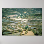 Asia, China. Flooded rice terraces near Nano