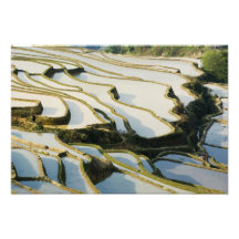 Asia, China, Yunnan Province, Yuanyang County. Photo