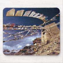 Asia, India, Ladakh, Leh. Known as Little Mouse Pad