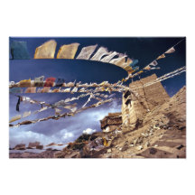 Asia, India, Ladakh, Leh. Known as Little Photograph