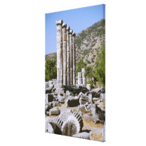 Asia, Middle East, Turkey, Ephesus. Temple of Canvas Prints