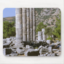 Asia, Middle East, Turkey, Ephesus. Temple of Mouse Pads