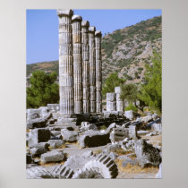Asia, Middle East, Turkey, Ephesus. Temple of
