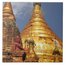 Asia, Myanmar (Burma), Bagan (Pagan). The Dhamma tiles
