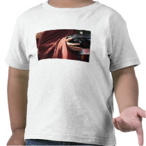 Asia, Myanmar (Burma), Mandalay. Novice monks T-shirts