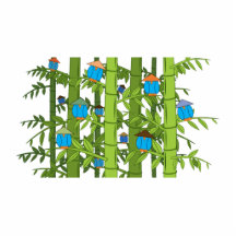 Asian Blue Birds Photo Cutout